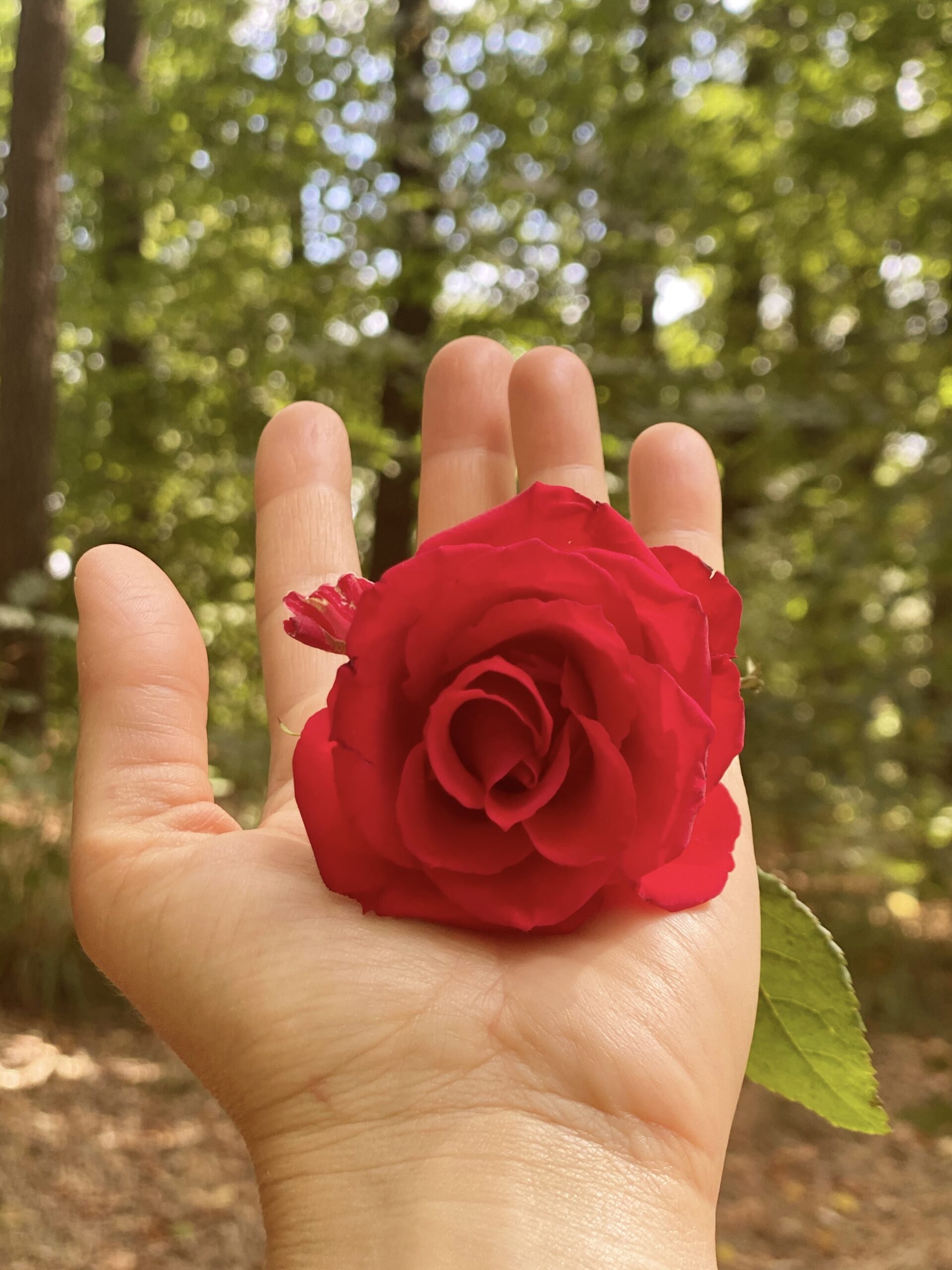 embrace and let go transformation through acceptance