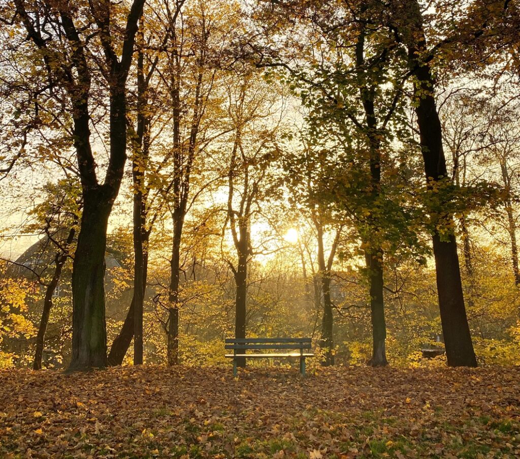 from spiritual bypassing to integration